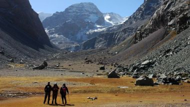 Yerba Loca Yerba Loca Santiago de Chile